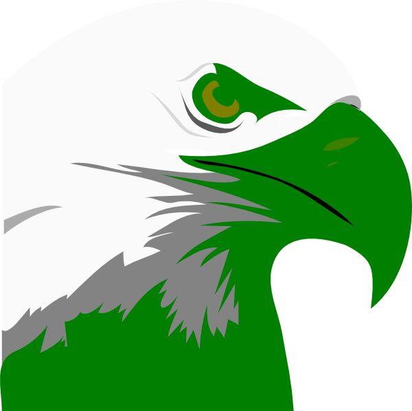 Bald Eagle Head Png (722x720)