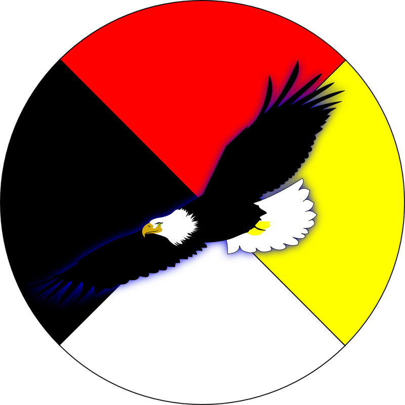 Eagle Button - Medicine Wheel With A Eagle (800x800)