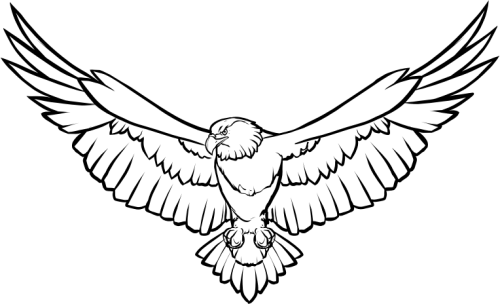 Save - Eagle Black And White (500x304)