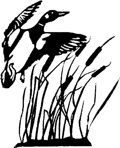 Soaring Bald Eagle - Duck Scene Silhouette (450x533)