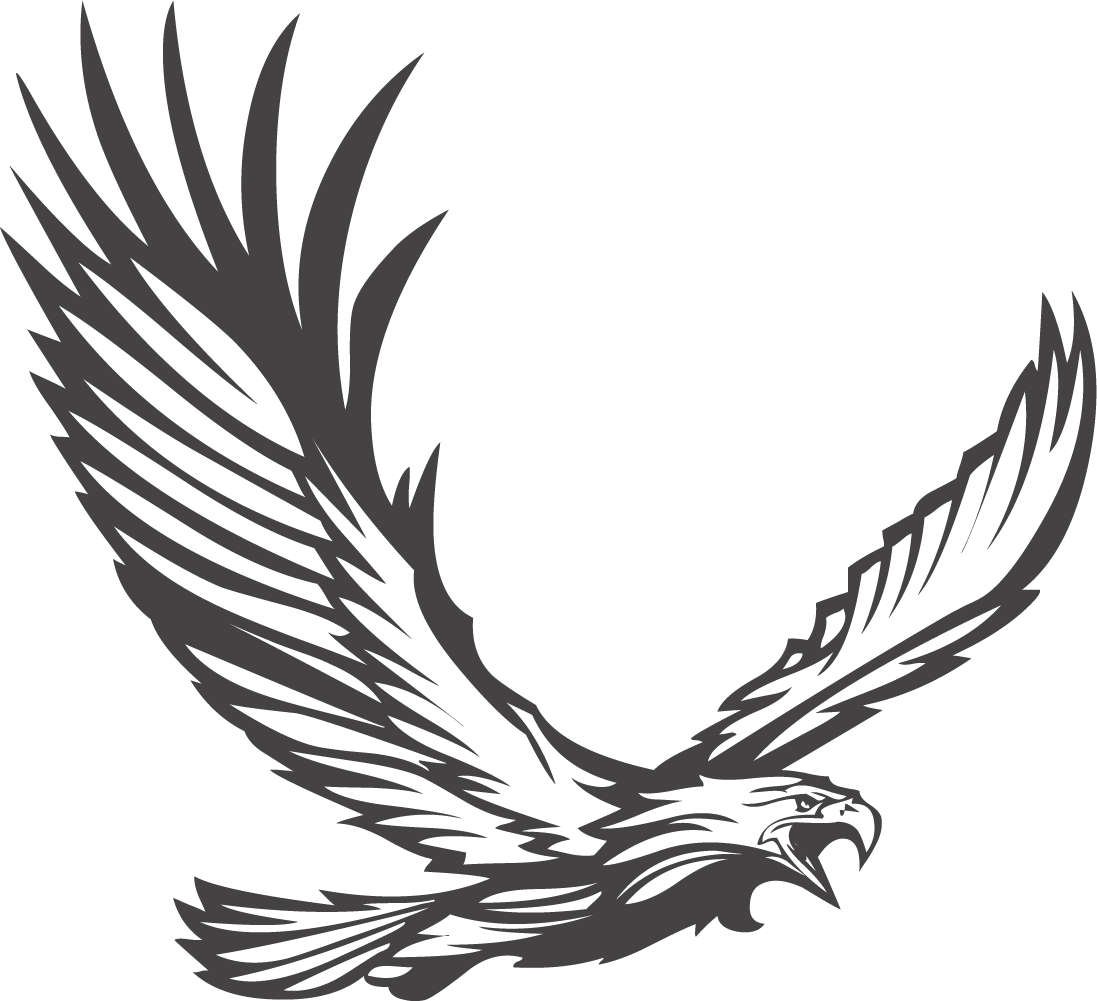 Bald Eagle Stock Photography Illustration - Vector Graphics (1097x1001)