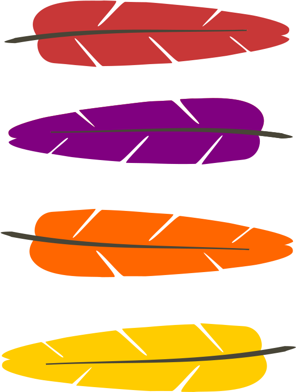 Plumas De Indio Vector (611x800)