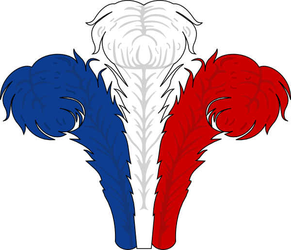 Red White And Blue Feathers (600x514)