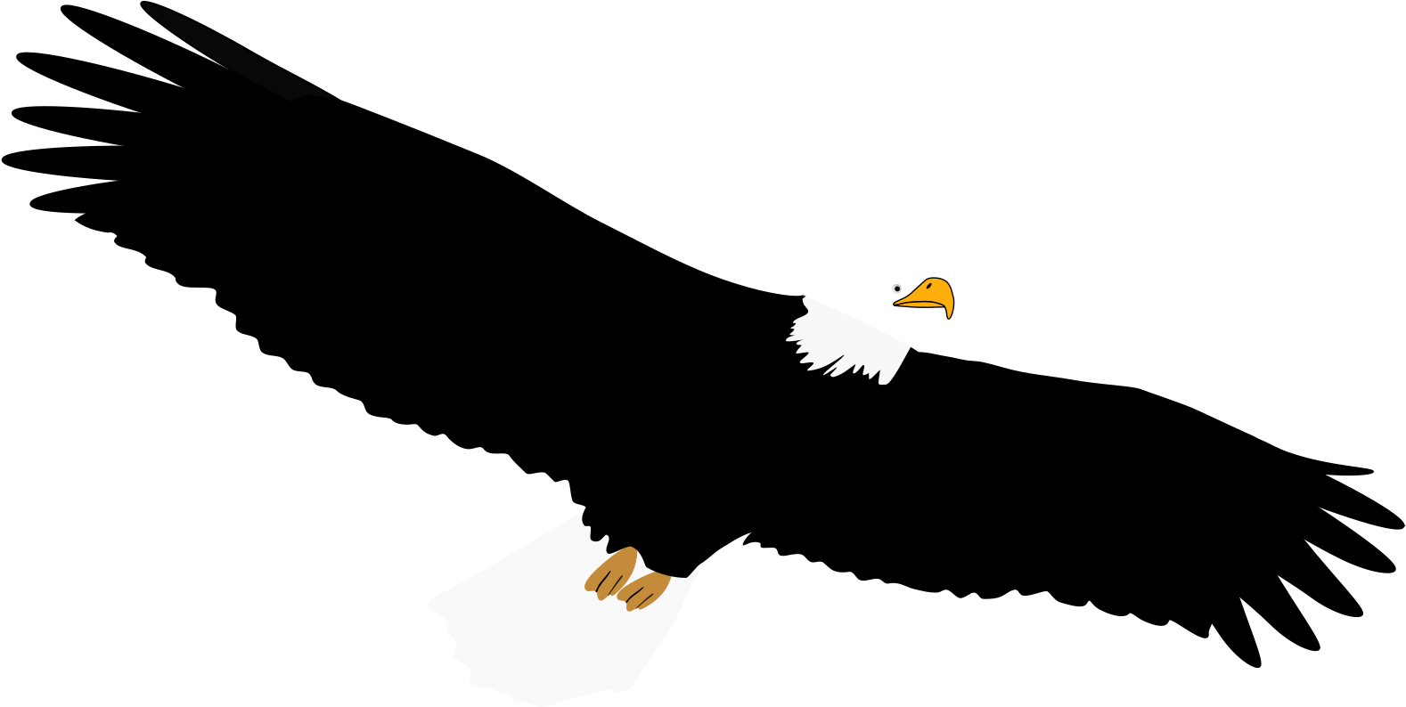 Eagle - Custom Soaring Bald Eagle Shower Curtain (2400x3200)