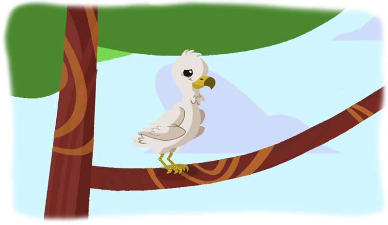 How Do Eagles Learn To Fly - Does An Eagle Fly (800x465)