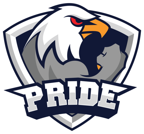 Team Pride Cs Go (581x539)