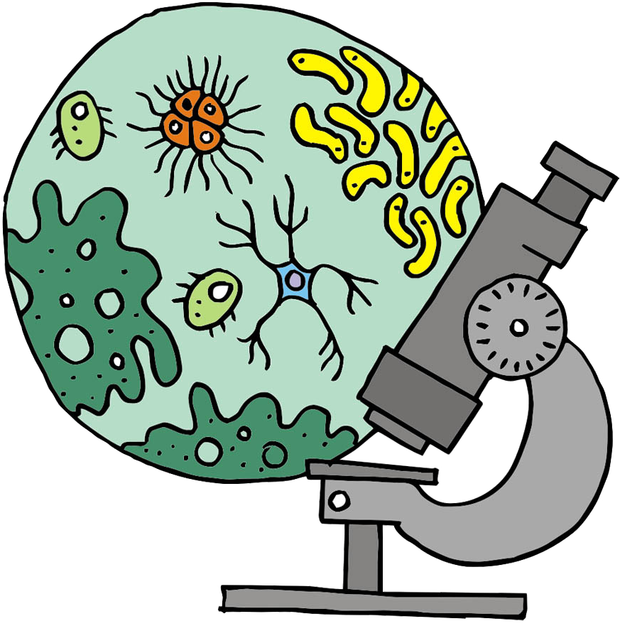 Microscope Cartoon - Microscope - Microscope Cartoon - Microscope (998x1000)