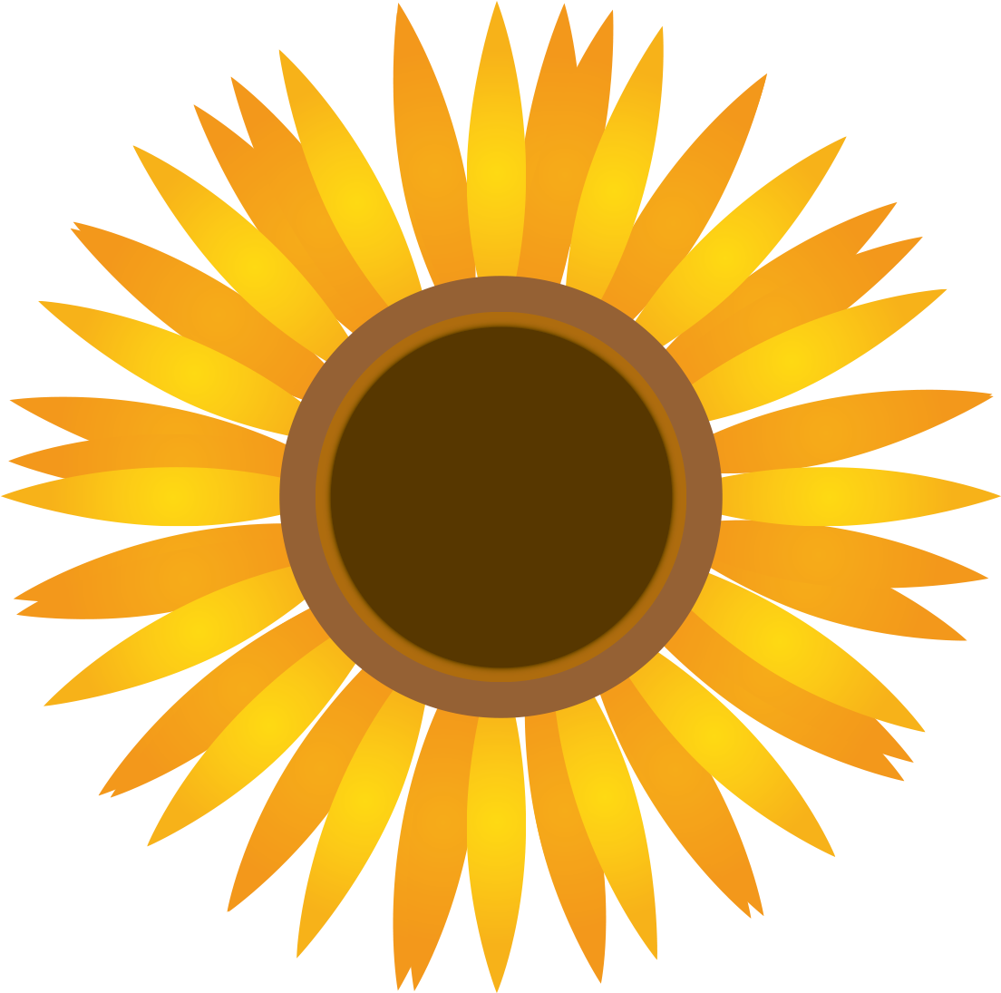Common Sunflower Clip Art - ひまわり 花びら イラスト (1181x1181)