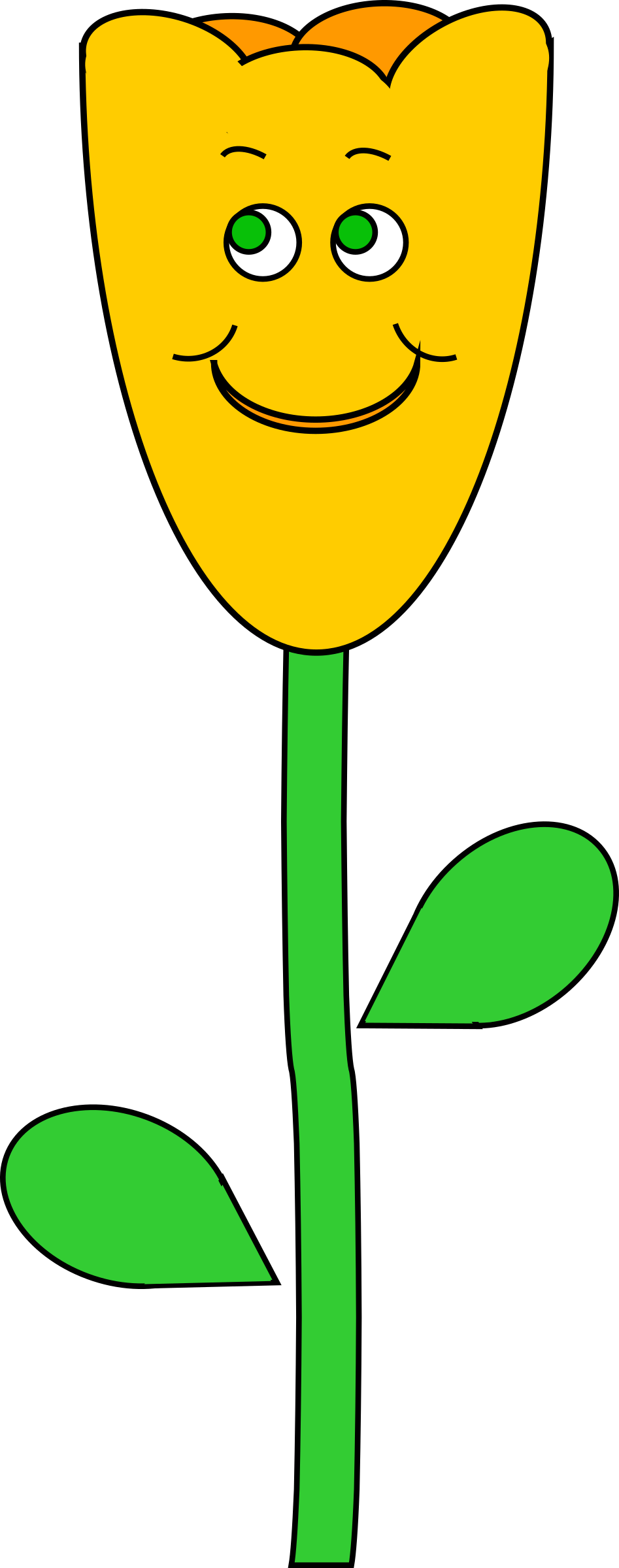 Big Image - Tulip With A Face (947x2400)