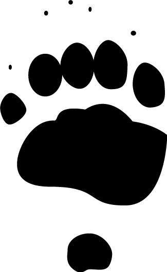 Front Track - Bear (325x531)