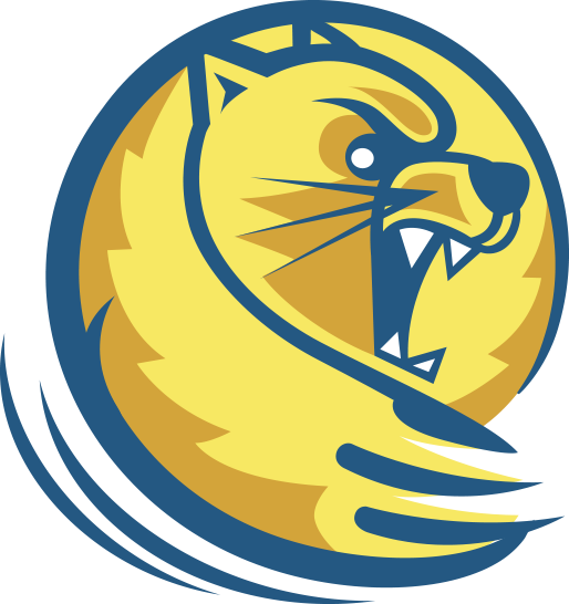 Lander University Athletics (546x546)
