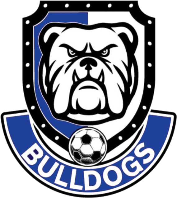 Photo - Bulldog Vector (632x695)