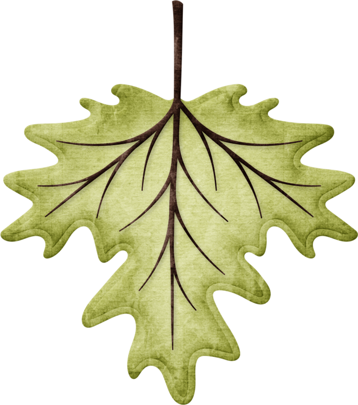 Jss Almostfall Leaf 20 - Autumn (707x800)
