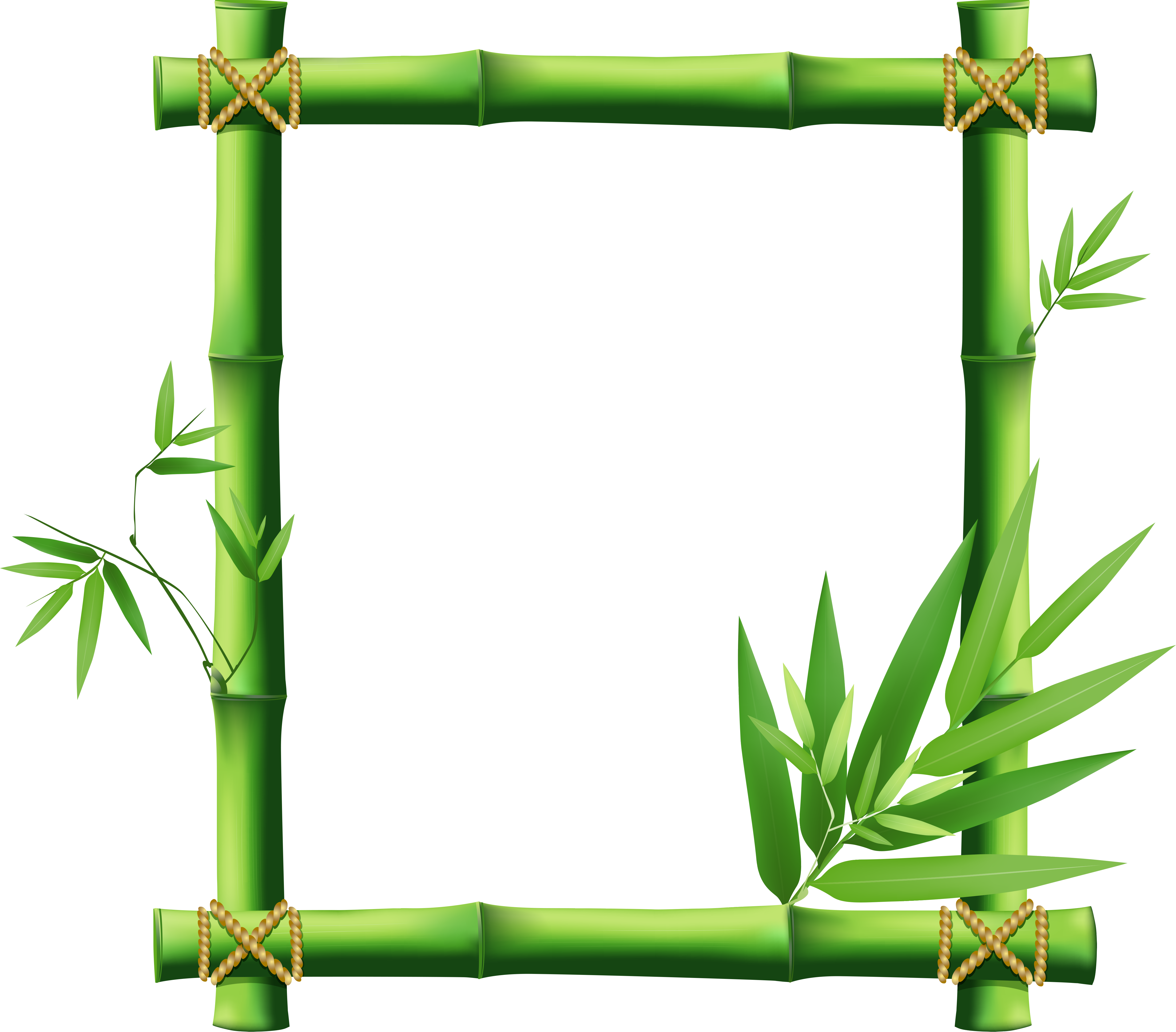 0 E928e 60c98e38 Orig - Frame Bamboo (5000x4390)