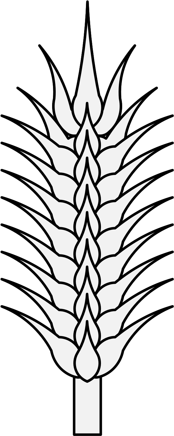 Pdf - Art (654x1474)