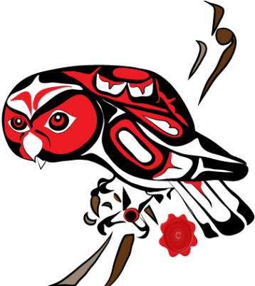Native - Haida People (400x400)