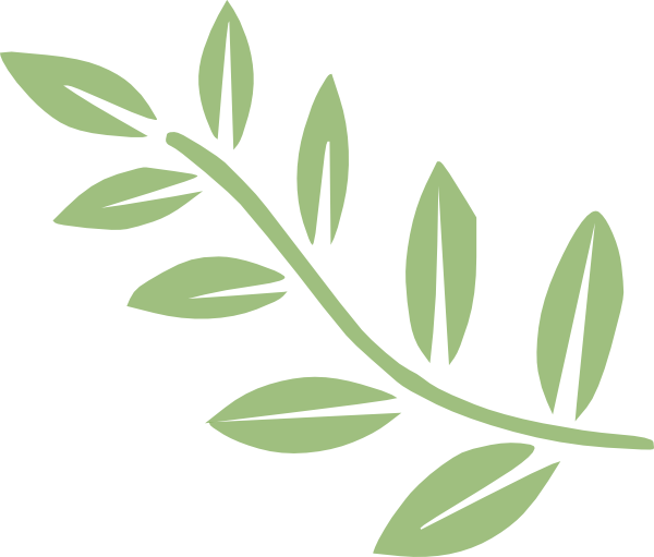 Branch Clipart (600x511)