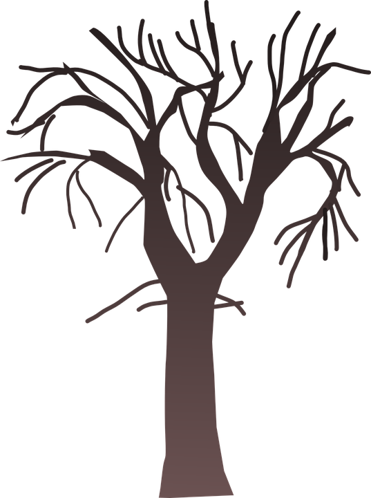 Spooky Tree Cliparts 10, - Collage Tree (537x720)