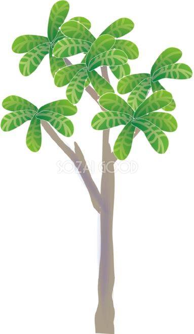シンプルなビワの木の無料イラスト81507 - シンプルなビワの木の無料イラスト81507 (383x660)