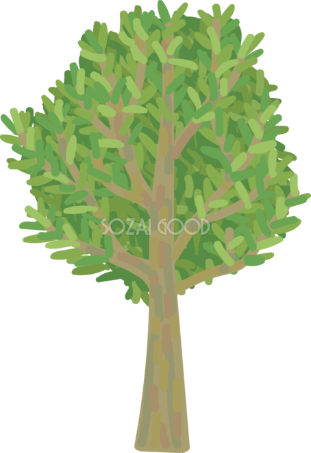 木 シンプルなカリンの木 無料イラスト82058 - Illustration (454x660)