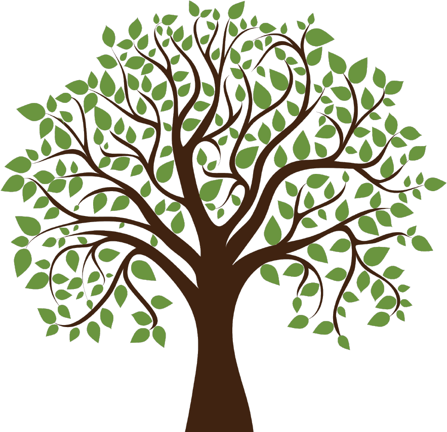 Logo - Transparent Background Tree Clipart (1058x855)