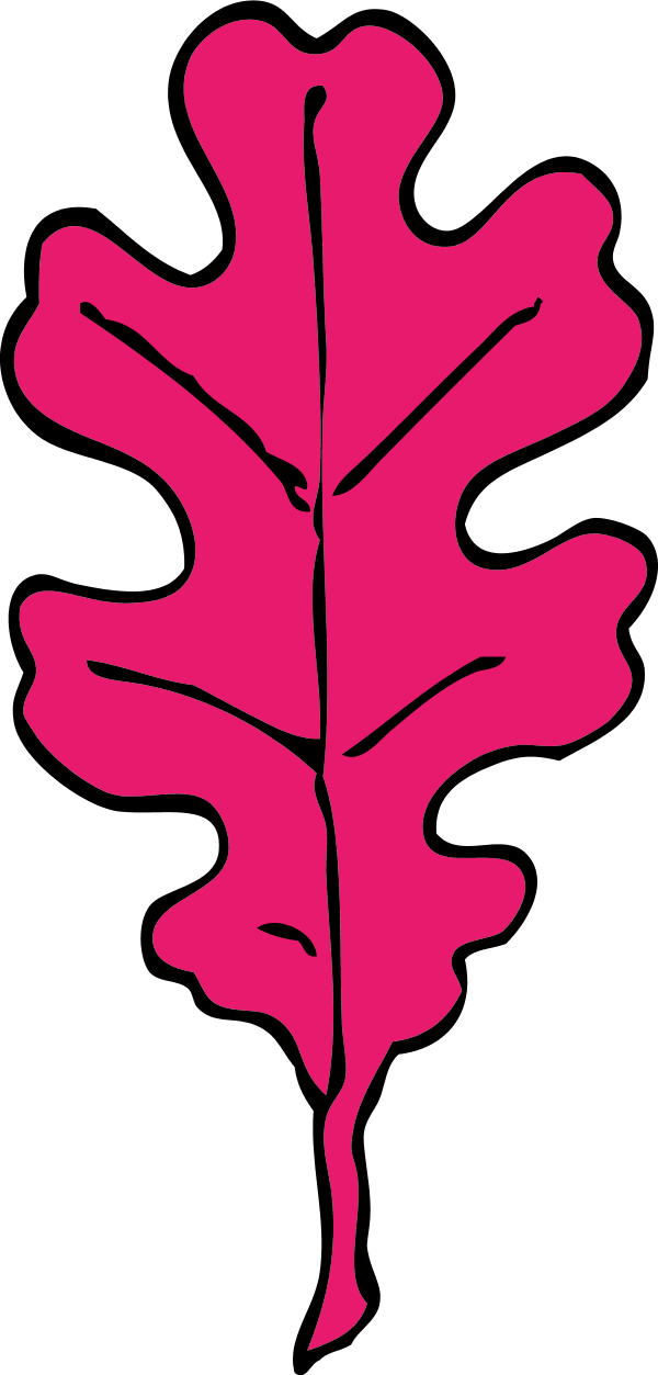 Vector Clip Art - Oak Leaf Clip Art (600x1253)