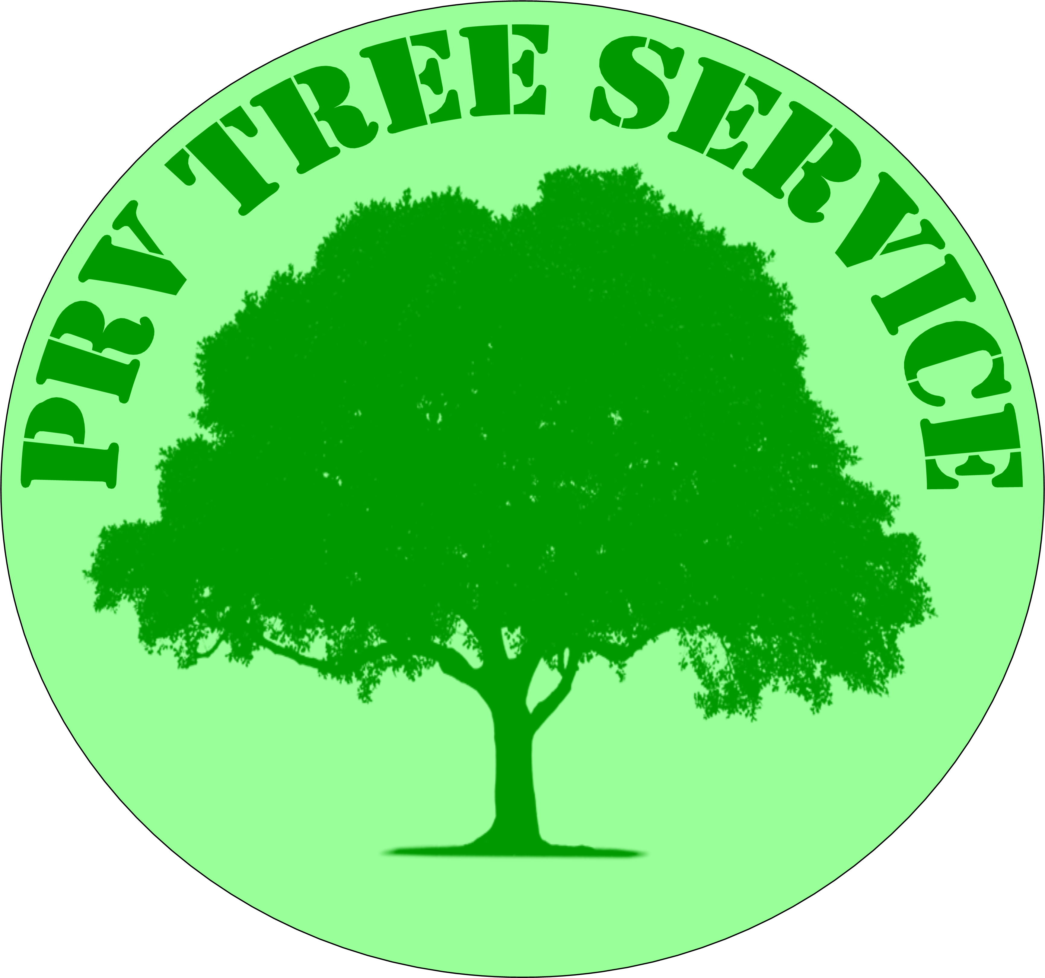 Prv Tree Service - Pokonaj Depresje Stres I Lek [book] (3648x3365)