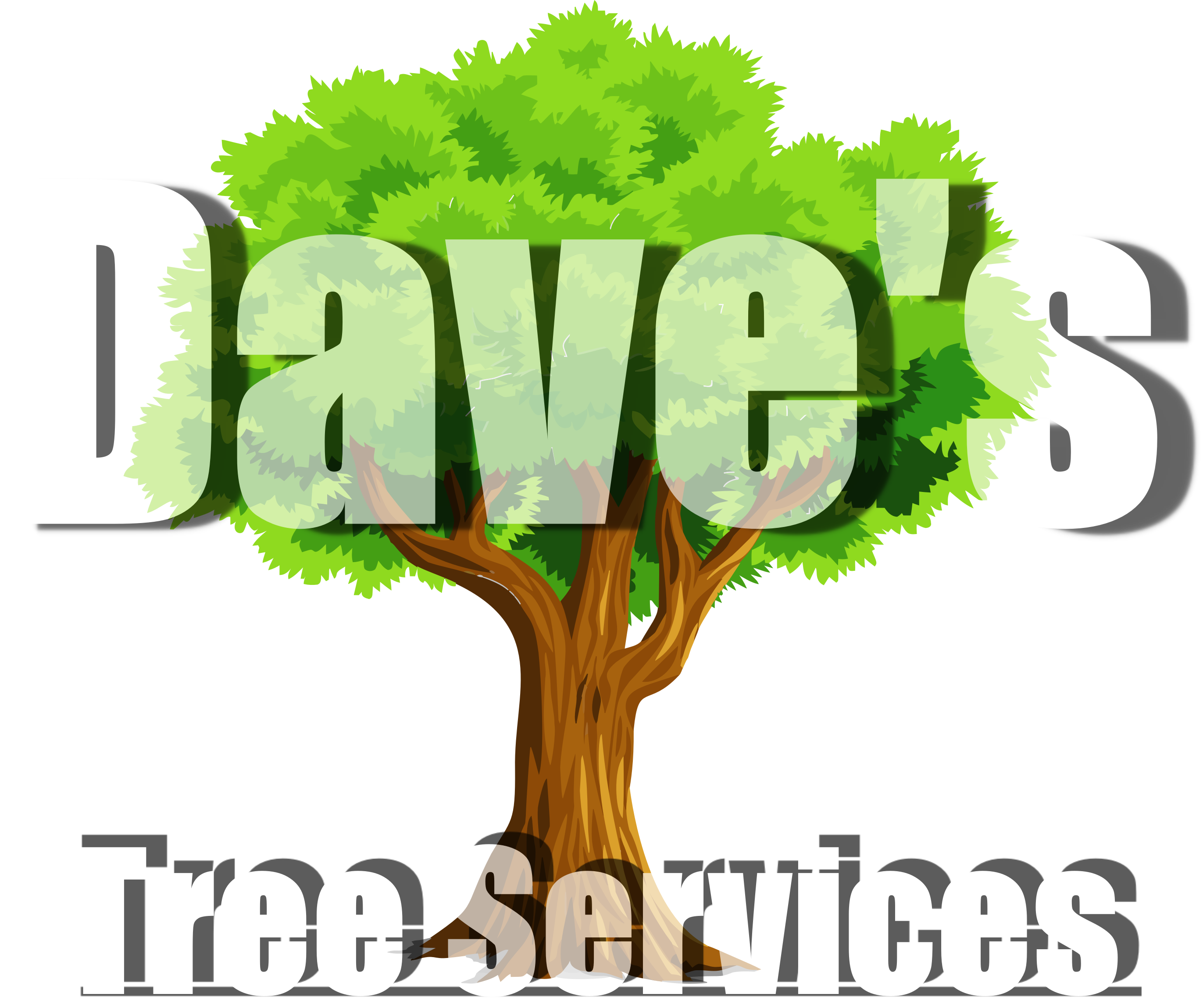 Tree Removal - Sandy Springs (2743x2299)
