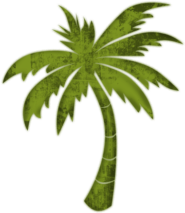 Palm Trees (512x512)