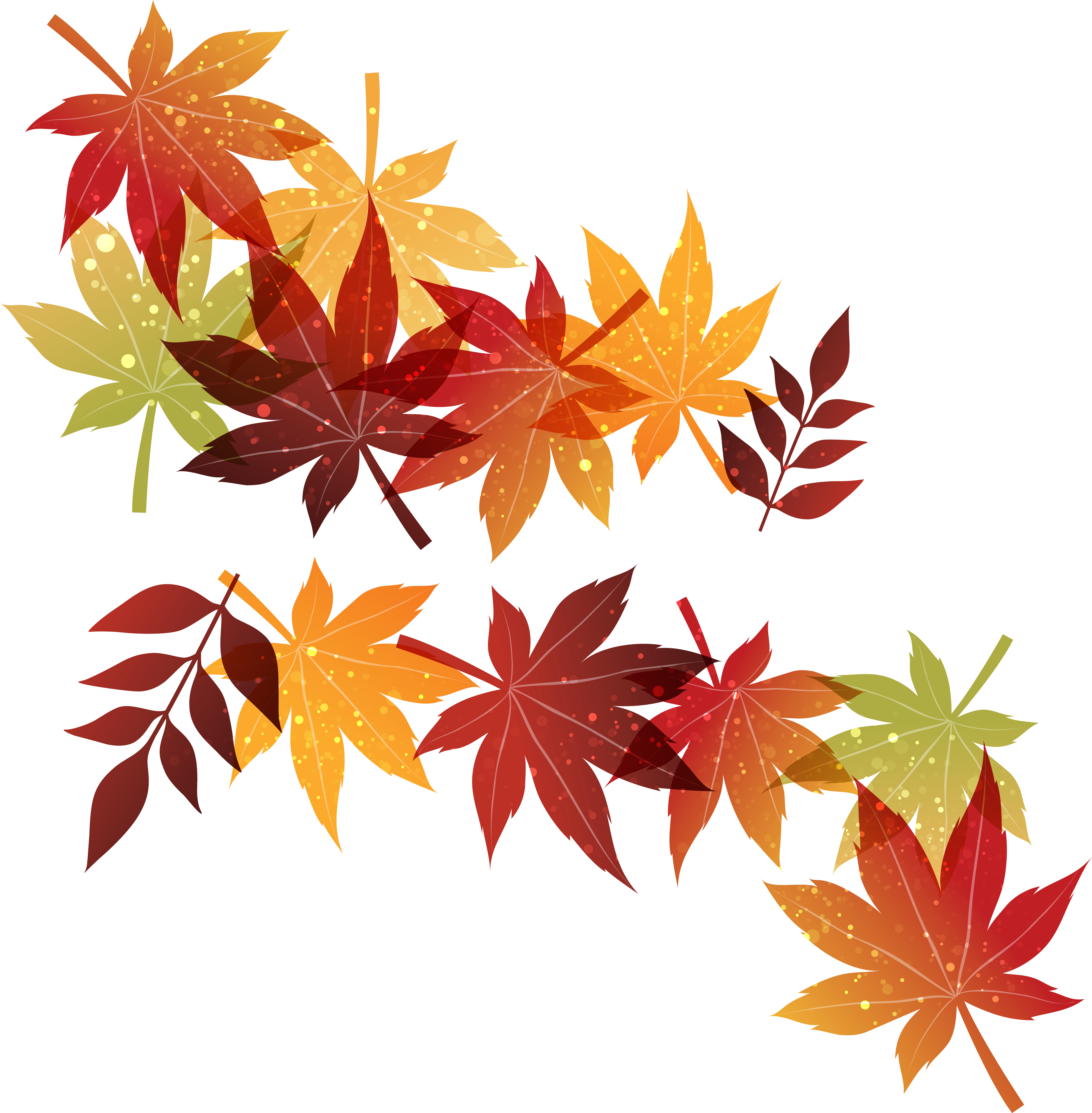 Autumn Maple Leaf - Autumn Maple Leaf (6490x6614)