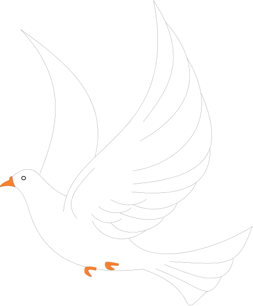 Shorebird (492x595)