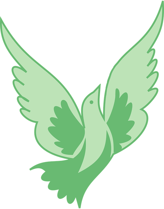 Site Image - Site Image (567x720)