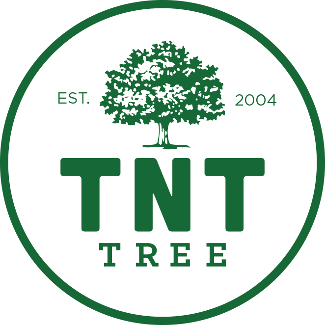Tnt Tree - Ender 7 (662x662)