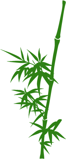 Bamboo Clip Art Transparent (250x564)