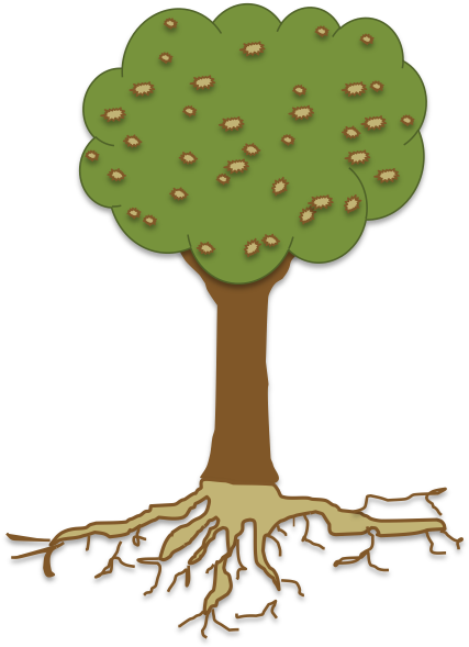 Canopy With Roots Section - Root (433x593)