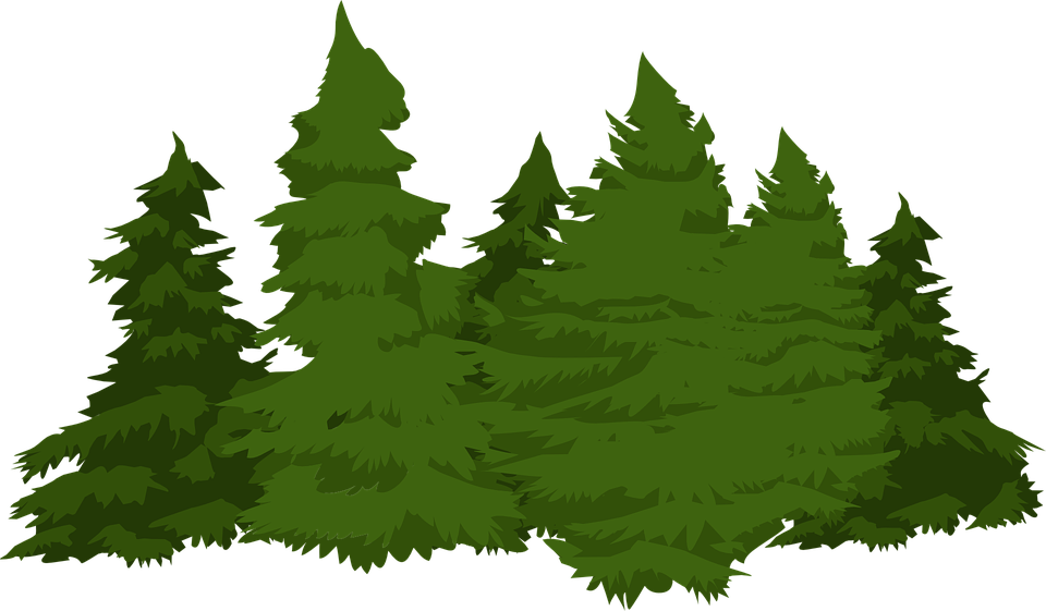 Pine Tree Vector - Gone Huntin Be Back Never Novelty Sign | Indoor/outdoor (960x561)