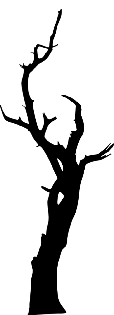 435 × 1200 Px - Tree (480x1325)
