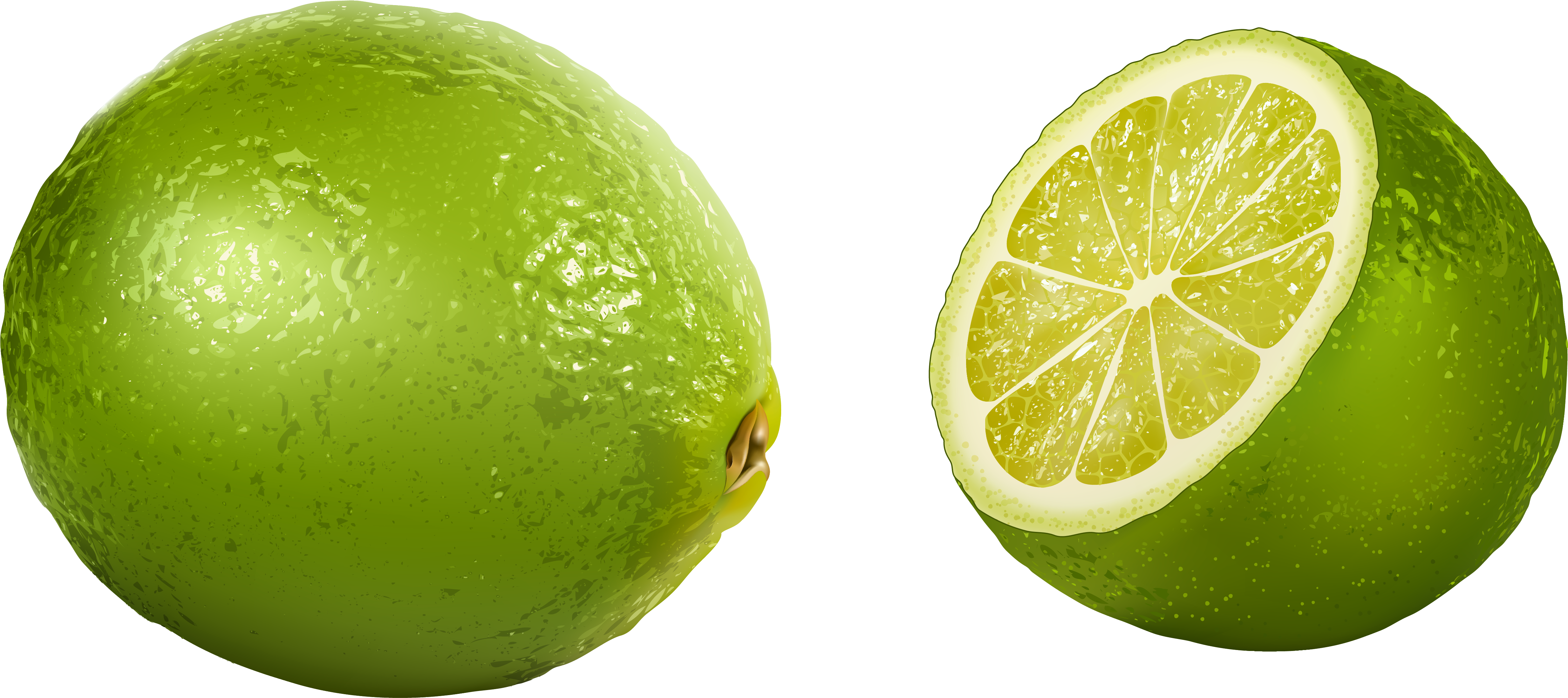 Lime Clipart Image - ベクター ライム (5239x2360)