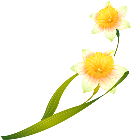 Tubes Fleurs - Chrysanths (555x555)