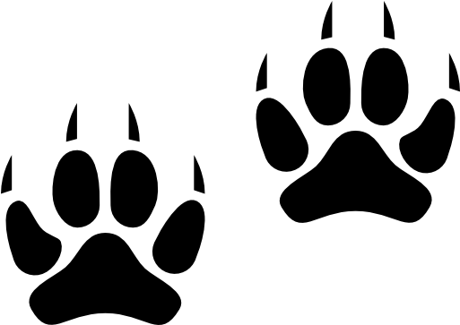 Size - Fox Footprint (512x512)