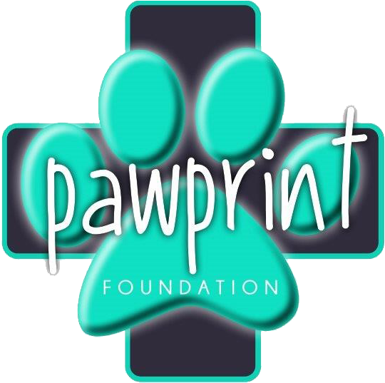 Paw Print - Redcliffe (546x546)