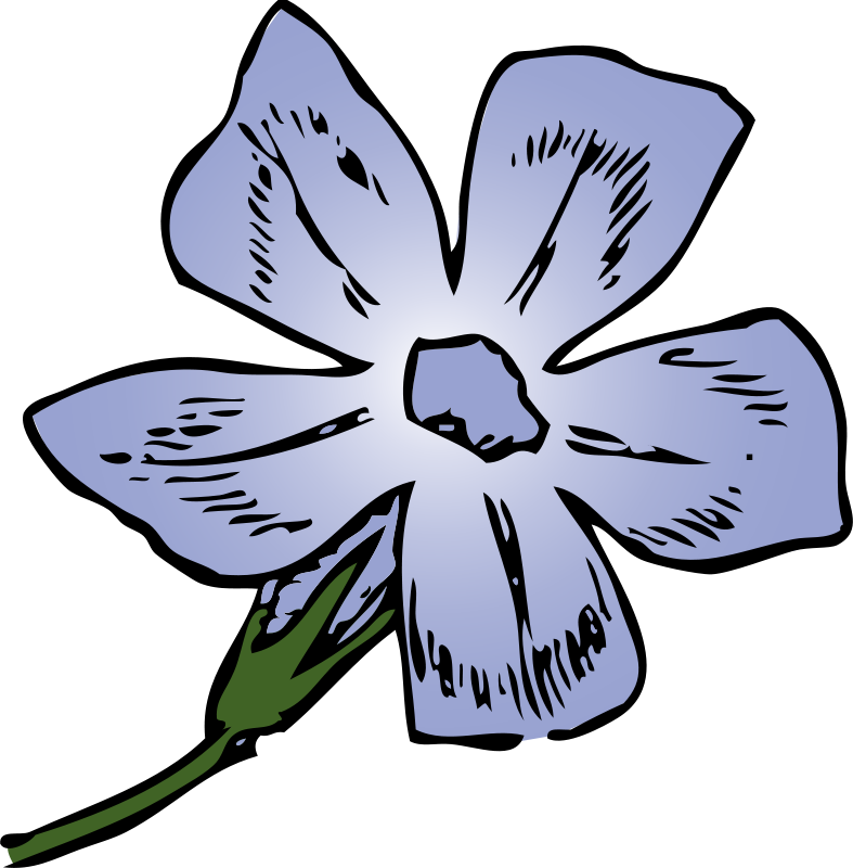 Periwinkle Clip Art (788x800)
