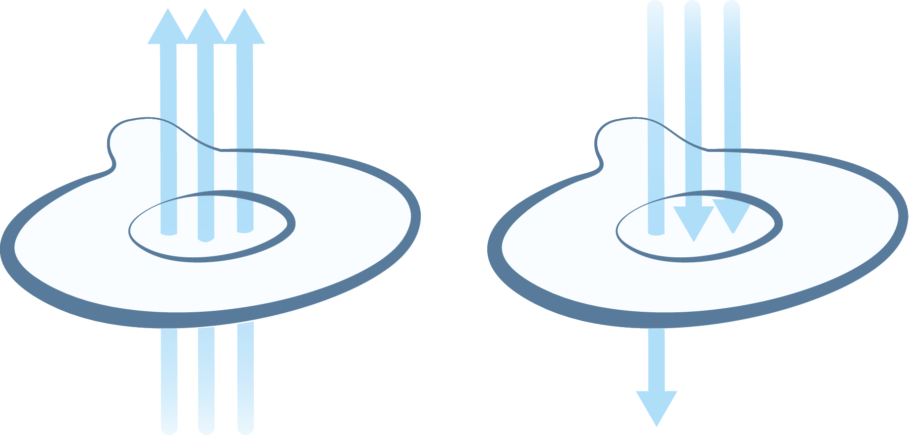 Nasenpflaster - Circle (1838x879)