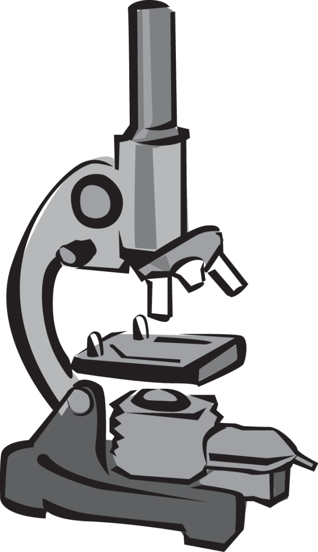 Clip Art Microscope (640x1109)