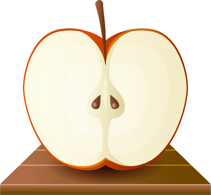 Apple Fruit Slice - Euclidean Vector (712x656)
