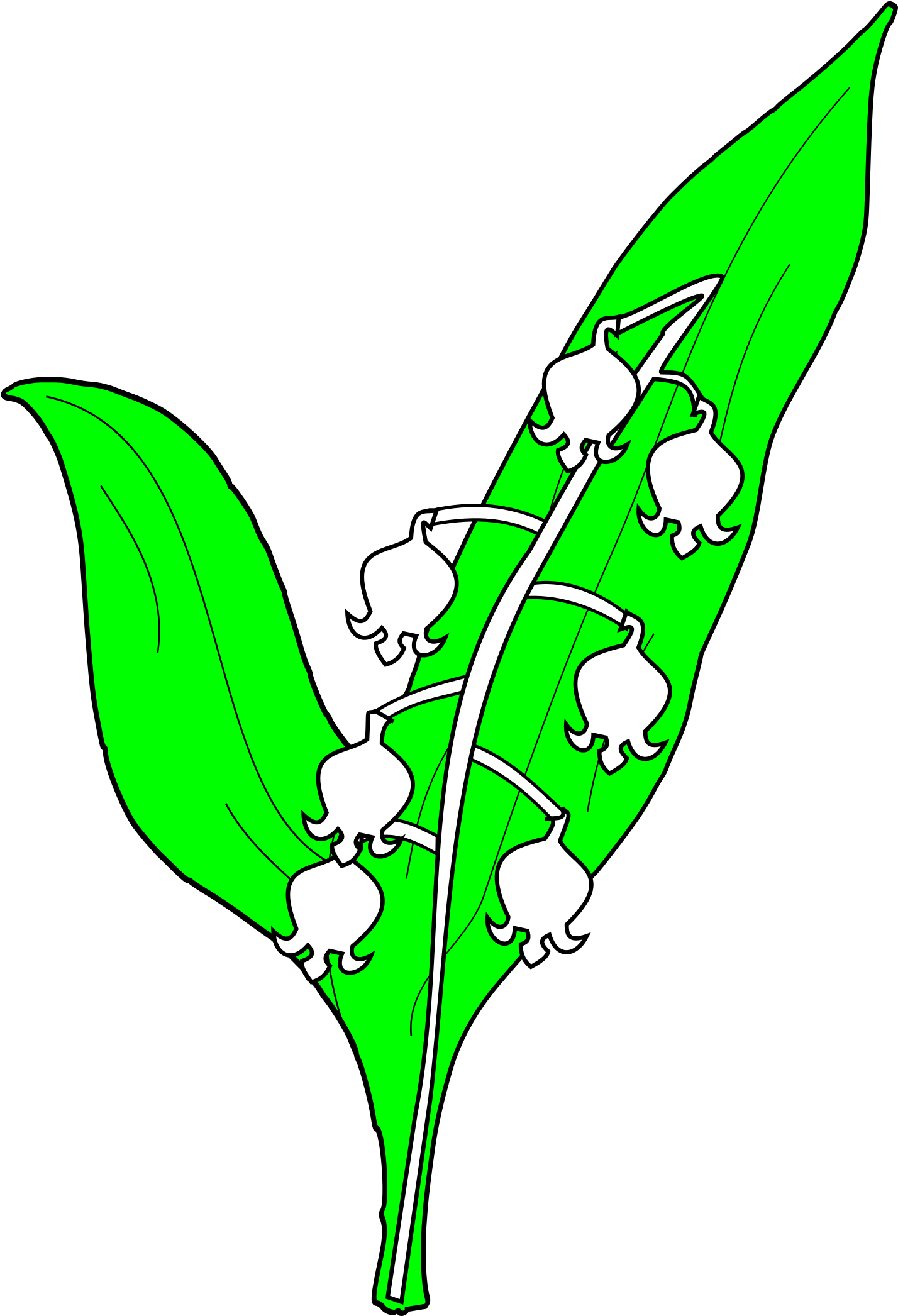 Open - Muguet (2000x2200)
