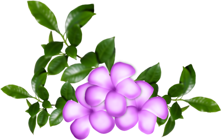 Fleurs16m20 - Painting (800x637)