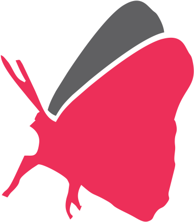 Borboleta Rosa-cinza - Illustration (486x486)
