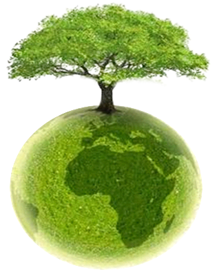 Clipart Plane - Ecology (322x400)