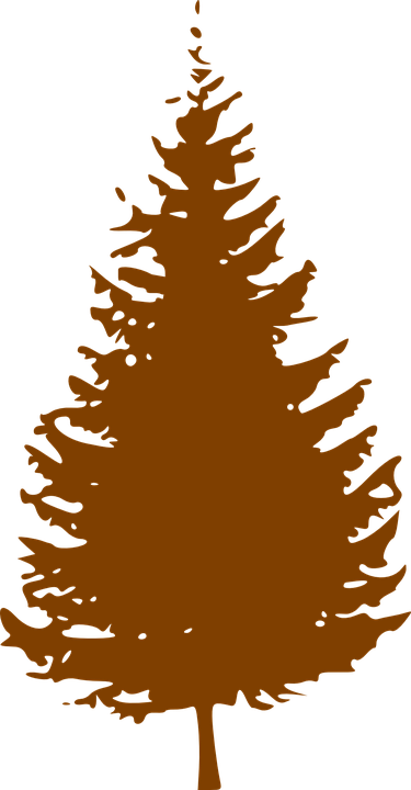 Christmas Tree Silhouette - Pine Tree Silhouette Vector (375x720)